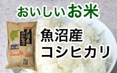 おいしいお米　新潟県魚沼産コシヒカリ