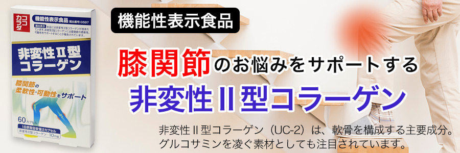 ヘルシーグッド 本店【サプリメント、医薬品などの健康通販サイト】