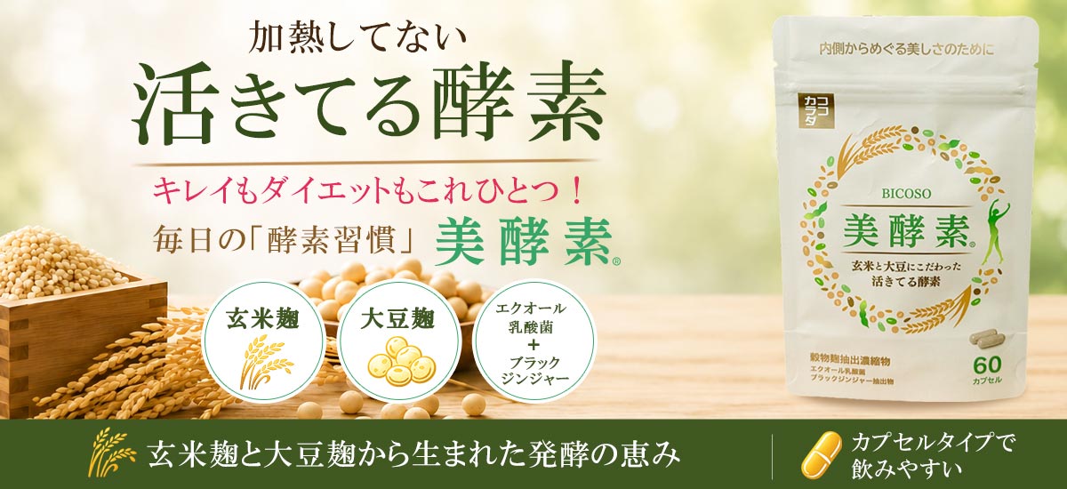 ココカラダ　美酵素　　活きてる酵素でダイエットもキレイも手に入れる