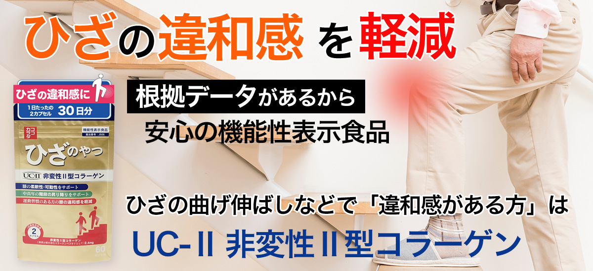 ココカラダ　ひざのやつ　非変性Ⅱ型コラーゲン