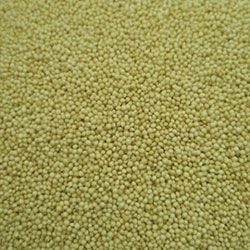 カリス　アマランサス　シード　ホール　WH　KBA　100g　(品番：343)　【カリス成城】1