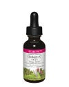 エクレクティック イチョウ  1オンス 29.5ml　【ノラ・コーポレーション】1