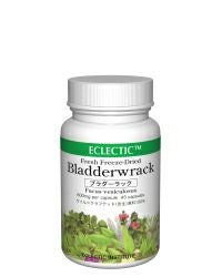エクレクティック ブラダーラック  FFD45 600mg×45ｃｐ　【ノラ・コーポレーション】1