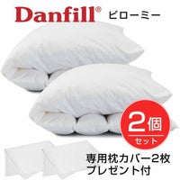 Danfill　ダンフィル　ピローミー　65cm×45cm　JPA013　2個セット　専用カバーAKF17　2枚プレゼント付き　【ダンフィル】1