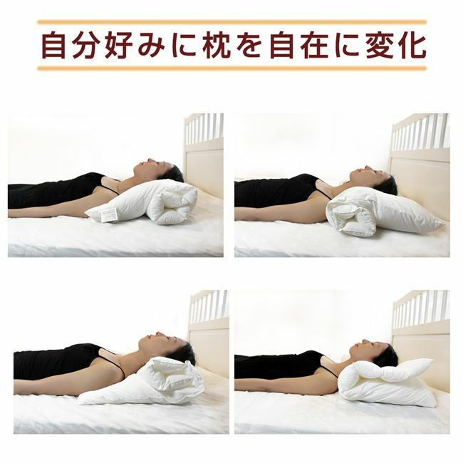 Danfill　ダンフィル　ピローミー　65cm×45cm　JPA013　2個セット　専用カバーAKF17　2枚プレゼント付き　【ダンフィル】2