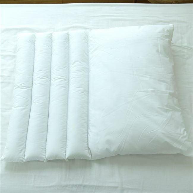 Danfill　ダンフィル　ピローミー　65cm×45cm　JPA013　2個セット　専用カバーAKF17　2枚プレゼント付き　【ダンフィル】3