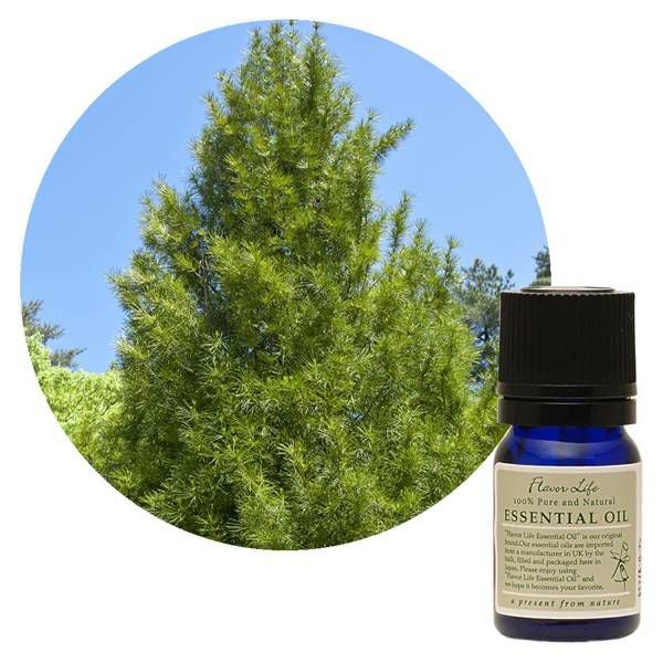 フレーバーライフ社　FL　精油　高野槇　3ml　【フレーバーライフ社】1