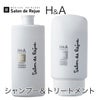 H＆A　シャンプー＆トリートメントセット【サロン・ド・リジュー 】1