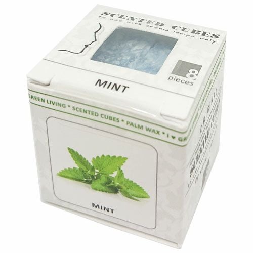 センティッドキューブ　ミント　22g 【イーエムエー】1