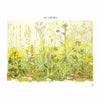 カリス成城　ボタニカルアートシリーズ　ポスター　RT1504　メドウ (品番：570904) 【カリス成城】1