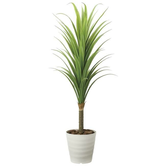 光の楽園(2024年版)　ドラセナ　ポリ製　品番：2019A350　高さ：180cm　【アートクリエイション】1