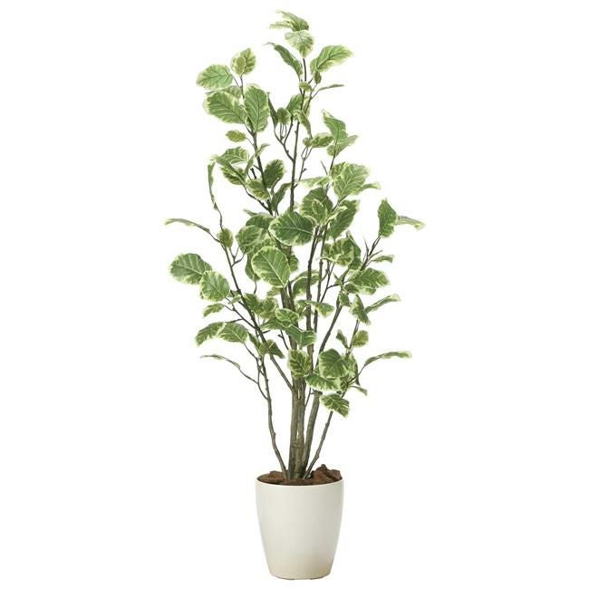 光の楽園(2024年版)　ポリシャス　品番：2028A180　高さ：115cm　【アートクリエイション】1