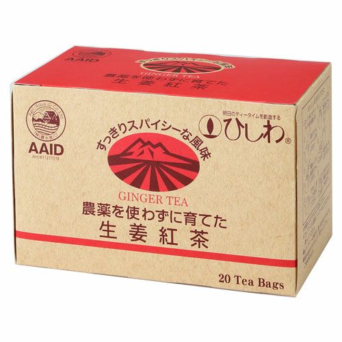 農薬を使わずに育てた生姜紅茶　20袋  【菱和園】1
