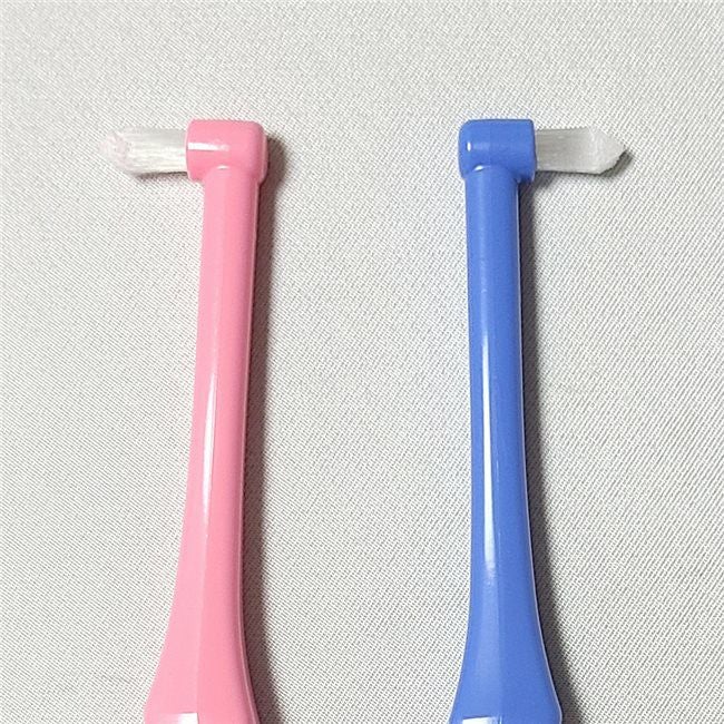 Ciメディカル 歯ブラシ Ci PRO ワンタフトブラシ レギュラー　ピンクとブルー