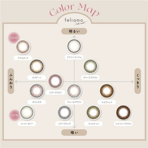 フェリアモ　feliamo　ワンデー　カラコン　10枚　［白石麻衣　カラーコンタクト]　1day　高度管理医療機器　【PIA】5