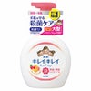ライオン　キレイキレイ　泡ハンドソープ　フルーツミックスの香り　500ml 《医薬部外品》1