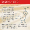 NMNとは