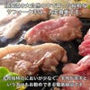 北海道産　サフォークラムたれ付　600g (150g×4)　【肉の山本】3