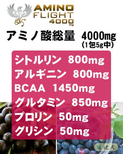 アミノフライト4000mg (AMINO FLIGHT) 5g×50本入　【ZERO BASE】3