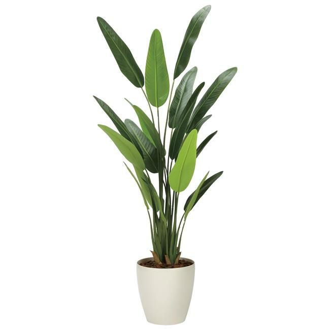 光の楽園(2024年版)　フレッシュトラベラーズパーム　品番：2314A320　高さ：155cm　【アートクリエイション】1