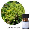 フレーバーライフ　クイーンメリーオーガニック精油　レモンティートリー　5ml【フレーバーライフ社】1