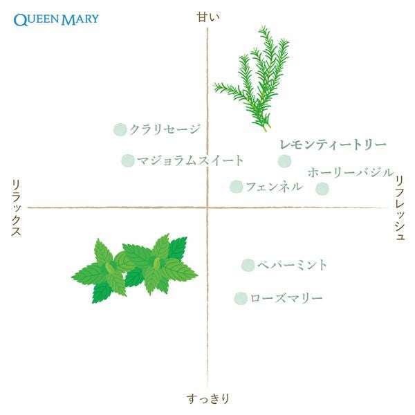 フレーバーライフ　クイーンメリーオーガニック精油　レモンティートリー　5ml【フレーバーライフ社】2