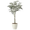 光の楽園(2024年版)　オリーブツリー　組立式　品番：2437A450　高さ：185cm　【アートクリエイション】1
