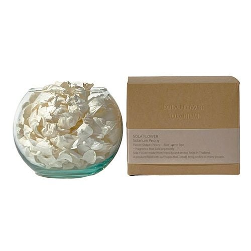 Sola　Flower　ソラフラワー　ソラリウム　ピオニー　【三和トレーディング】1