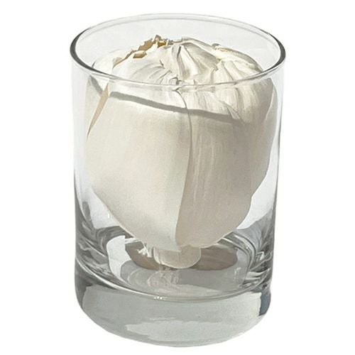 Sola　Flower　ソラフラワー　タンブラー　ピオニー　【三和トレーディング】2