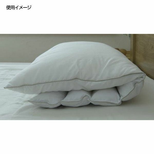 ダンフィル　Danfill　ブリンクハウス　ピローミー シュプリームコンフォート　【アペックス】2