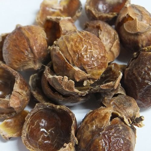 カリス　ソープナッツ　シェル　ホール　500g 　※食用不可　(品番：567)　【カリス成城】1