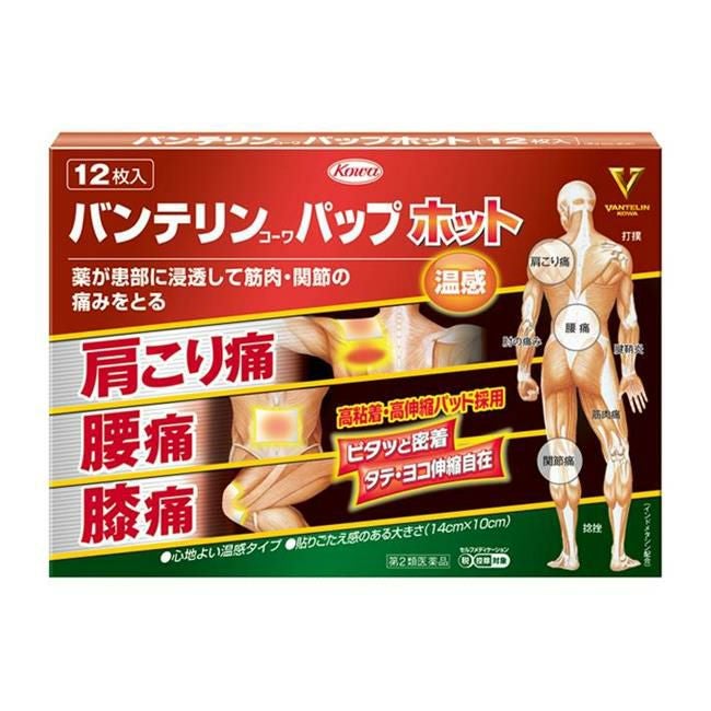 バンテリンコーワパップホット　12枚　【興和】1