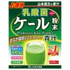 乳酸菌ケール粉末　4g×30包　【山本漢方製薬】1