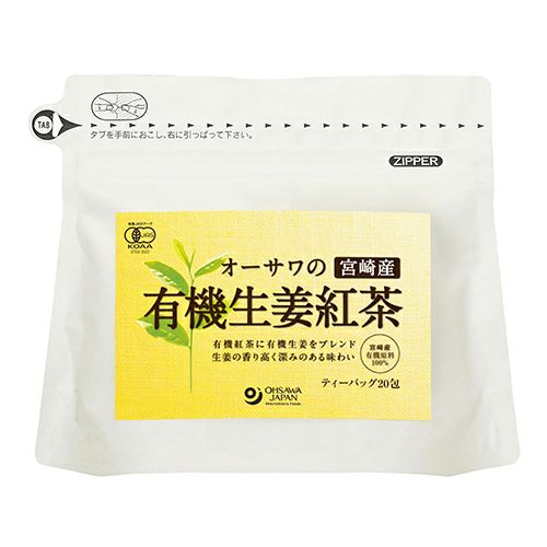 オーサワの有機生姜紅茶　ティーバッグ　3g×20包　【オーサワジャパン】1