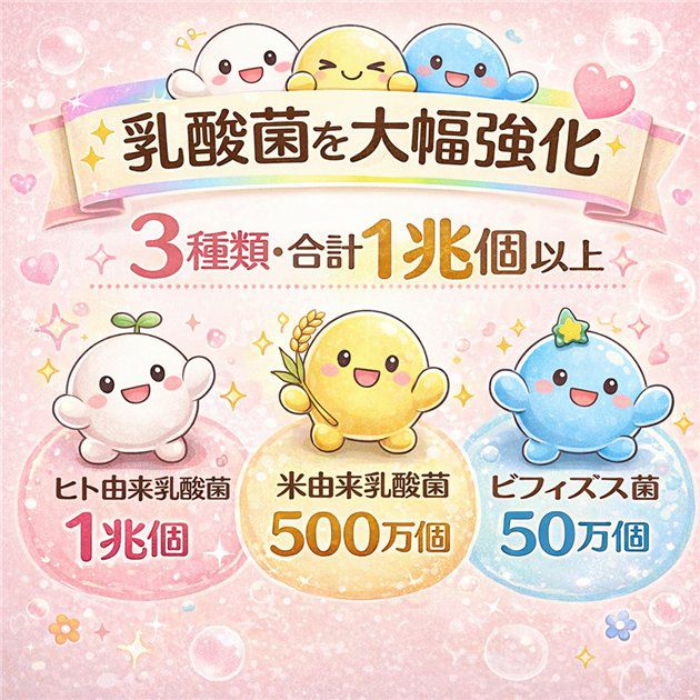 保阪流　フラクトオリゴ糖　乳酸菌・ビフィズス菌PLUS　プレーン　500g×2本セット4