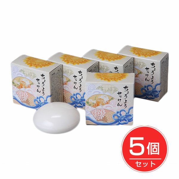 企業組合東京セールスレップ　ちょうようせっけん　100g×5個セット　【企業組合東京セールスレップ】1