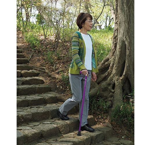 バンブーステッキ　パープル　【竹虎】5