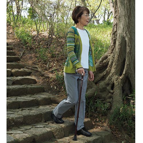 バンブーステッキ　ブラック　【竹虎】5