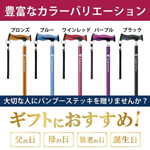 バンブーステッキ　ブロンズ　【竹虎】3