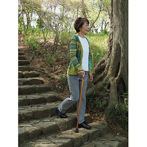 バンブーステッキ　ブロンズ　【竹虎】5