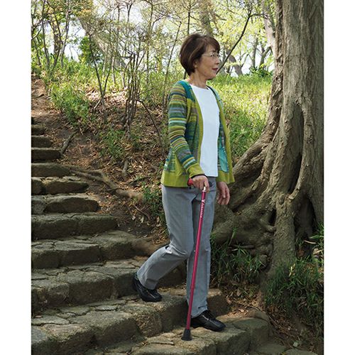 バンブーステッキ　ワインレッド　【竹虎】5