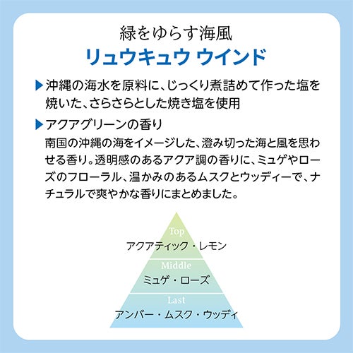 アナザートリップ　アロマパスポート　リュウキュウ ウインド　165g　【ジーピークリエイト】2
