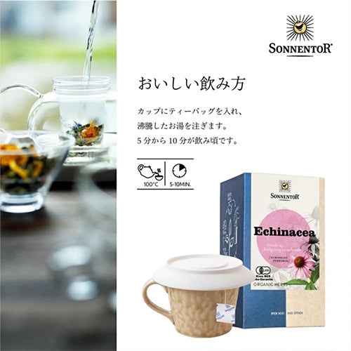 ゾネントア　エキナセアティー　18袋入×6個セット　【おもちゃ箱】4