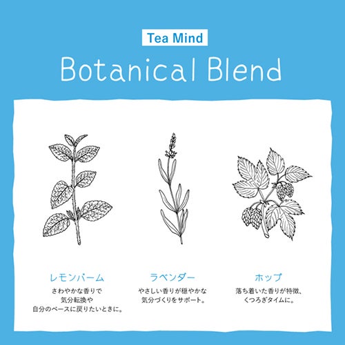 ゾネントア　イッツオールグッド　ティー マインド　18袋入×6個セット　【おもちゃ箱】5