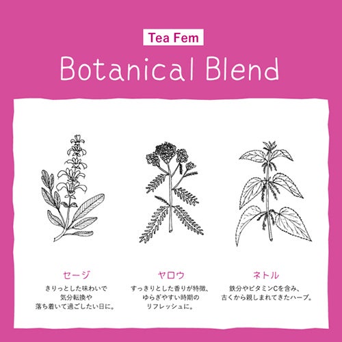 ゾネントア　イッツオールグッド　ティー フェム　18袋入×6個セット　【おもちゃ箱】5