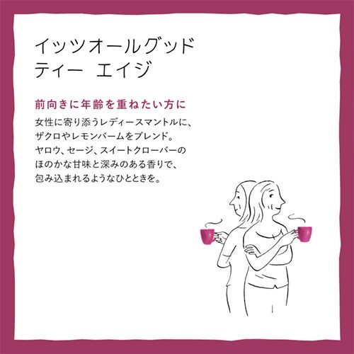 ゾネントア　イッツオールグッド　ティー エイジ　18袋入×6個セット　【おもちゃ箱】4