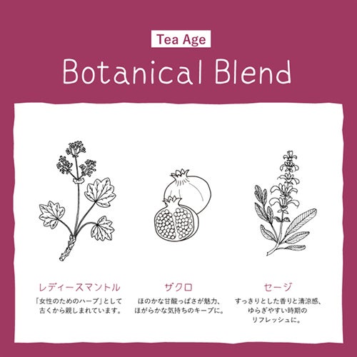 ゾネントア　イッツオールグッド　ティー エイジ　18袋入×6個セット　【おもちゃ箱】5