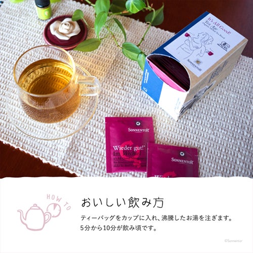 ゾネントア　イッツオールグッド　ティー エイジ　18袋入×6個セット　【おもちゃ箱】6