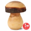 ヴァルトファブリック　キノコ　大　5個セット　【おもちゃ箱】1
