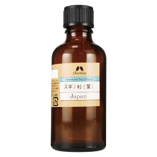 スギ　杉(葉)　オイル　50ml　(品番：2471)　【カリス成城】1